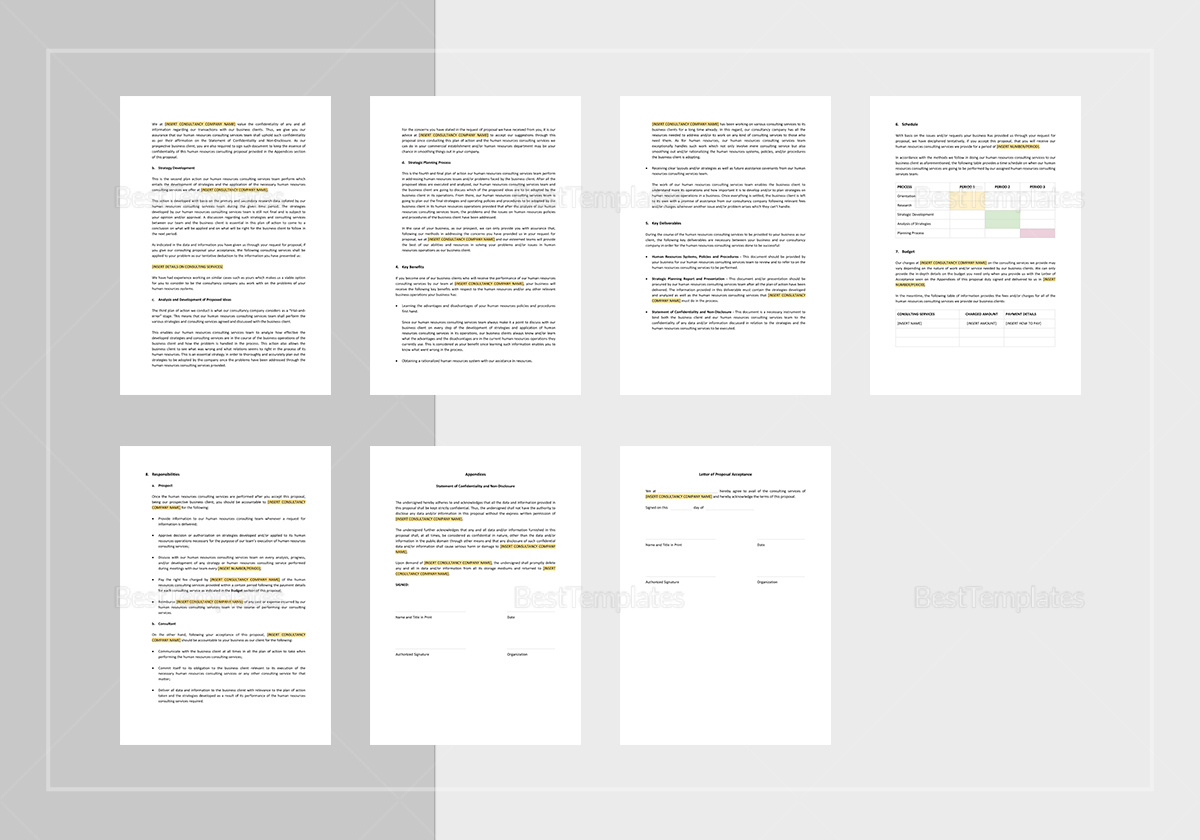Hr Consulting Proposal Template In Word Apple Pages Throughout Consulting Proposal Template Word