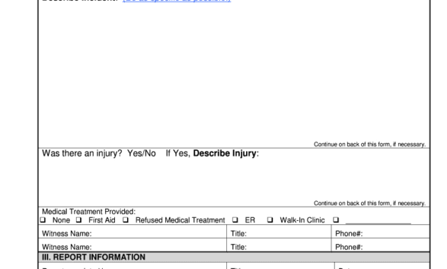 Incident Report Form Fill Online Printable Fillable Within Quality Security Incident Log Template