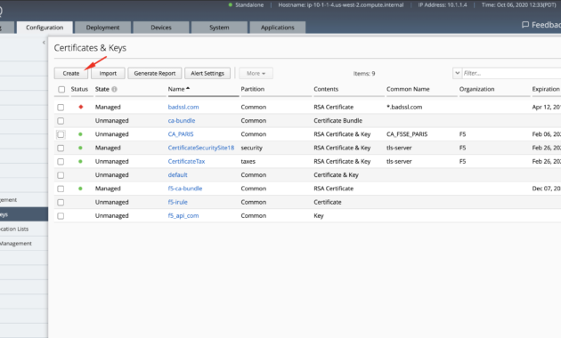 Lab 12 Create A Selfsigned Ssl Certificate Key On Bigiq Intended For Best Iq Certificate Template