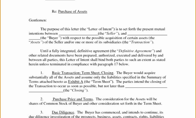Letter Of Intent To Purchase Shares Template Examples Intended For Letter Of Intent For Business Partnership Template