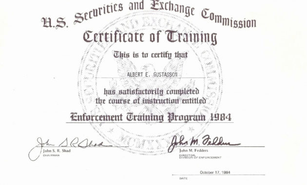 Life Saving Award Certificate Template Atlantaauctionco In Life Saving Award Certificate Template