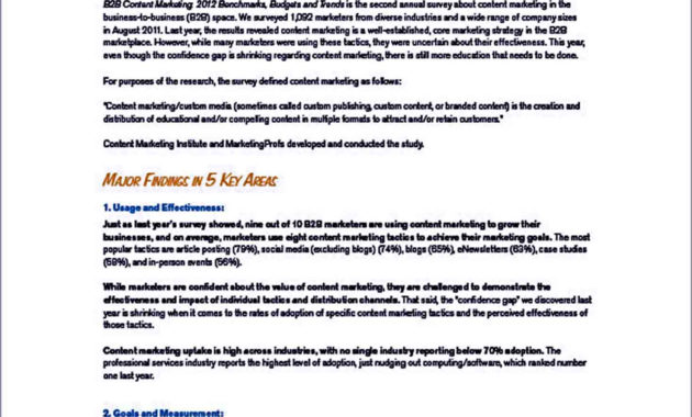 Marketing Plan Executive Summary Templates Room Surf With Executive Summary Template For Business Plan