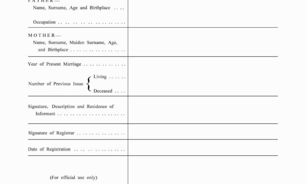 Mexican Marriage Certificate Template Carlynstudio For Free Mexican Birth Certificate Translation Template