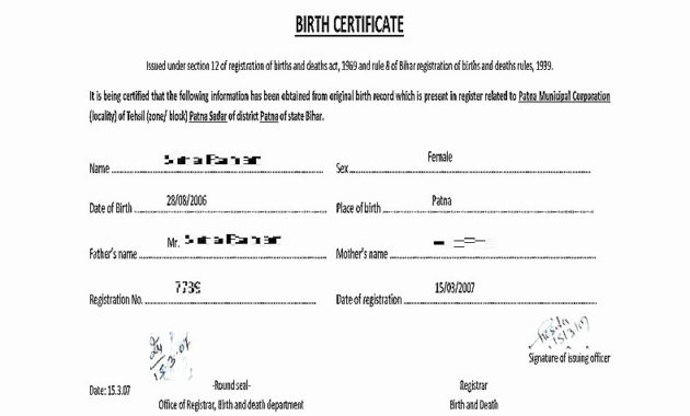 Mexican Marriage Certificate Template Carlynstudio Throughout Free Mexican Marriage Certificate Translation Template