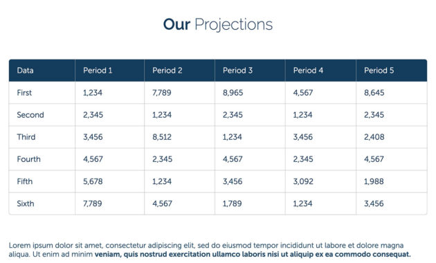 Non Profit Business Plan Template Free Pdf Ppt Regarding Business Plan Template For Website
