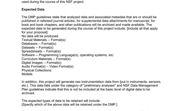 Nsf Engineering Directorate Data Management Plan Template With Free Nsf Proposal Template