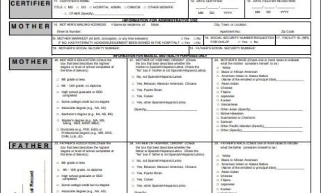 Official Birth Certificate Template Database With Regard To Official Birth Certificate Template