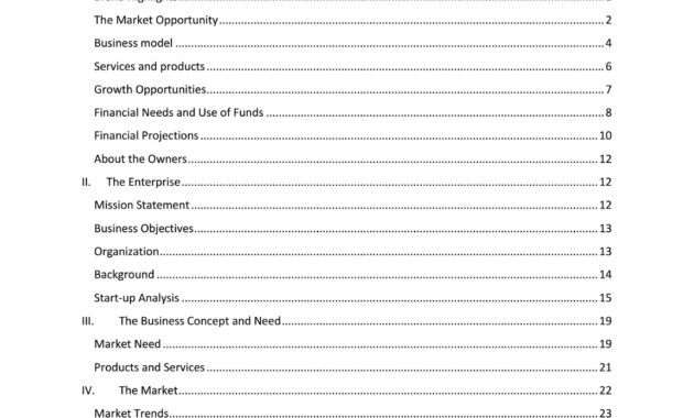Online Fashion Boutique Business Plan Template Sample Regarding Online Store Business Plan Template