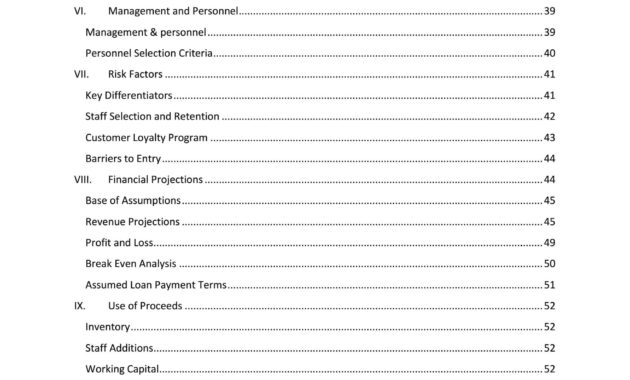 Online Fashion Boutique Business Plan Template Sample Within Online Store Business Plan Template