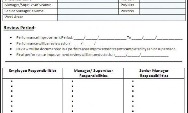 Performance Improvement Plan Template Template Business Regarding Business Improvement Proposal Template