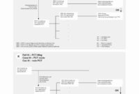 Personal Trainer Spreadsheet Pertaining To Fitness Regarding Personal Training Business Plan Template Free