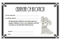 Pet Adoption Certificate Editable Templates Pertaining To Quality Child Adoption Certificate Template