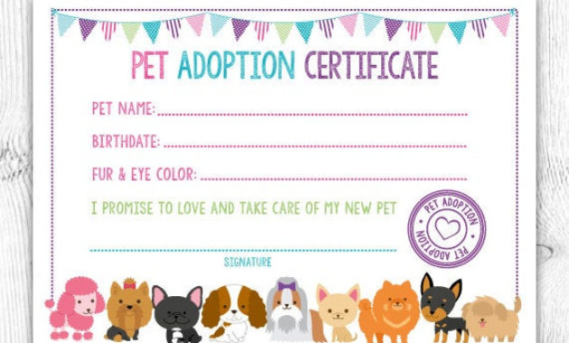 Pet Adoption Certificate Pet Adoption Birthday Party Puppy Pertaining To Kitten Birth Certificate Template