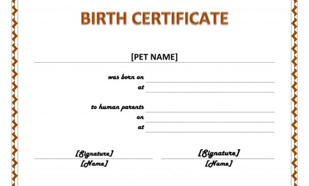 Pet Birth Certificate For Rabbit Birth Certificate Template Free 2019 Designs