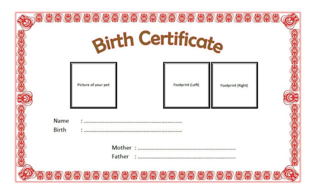 Pet Birth Certificate Templates Fillable 7 Best Designs Inside Pet Adoption Certificate Editable Templates