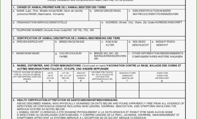 Pet Health Certificate Template 18 Belief To Try Out Regarding Printable Veterinary Health Certificate Template