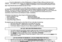 Presentence Investigation Report Template Professional Pertaining To Presentence Investigation Report Template