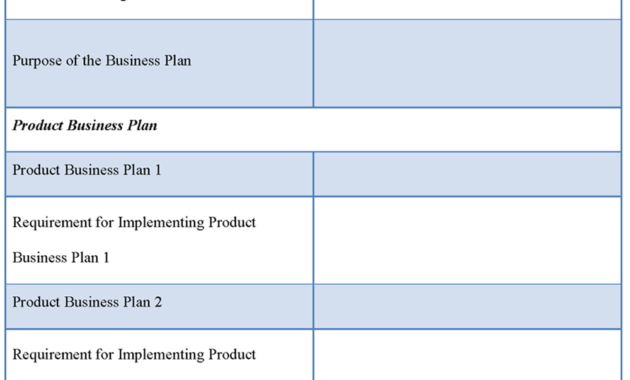 Product Template For Business Plan Sample Of Product In Product Development Business Case Template