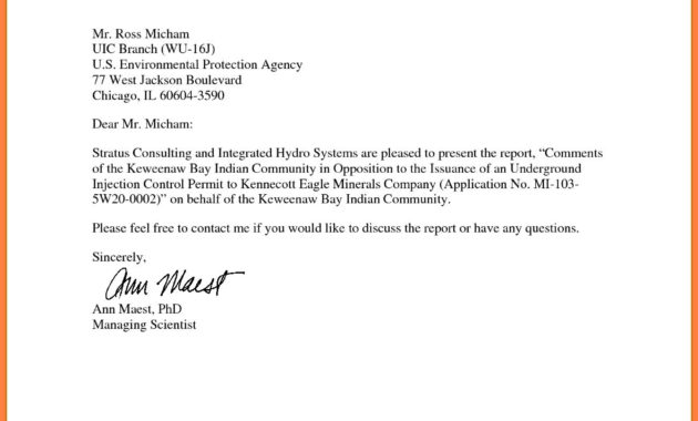 Professional Letter Heading Template Examples Letter For Business Headed Letter Template