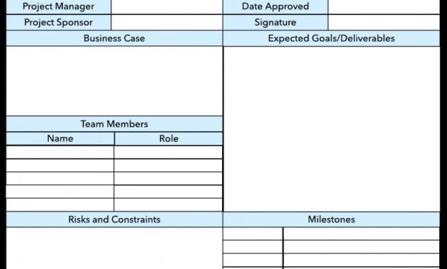 Project Charter Example Template Business For Business Charter Template Sample