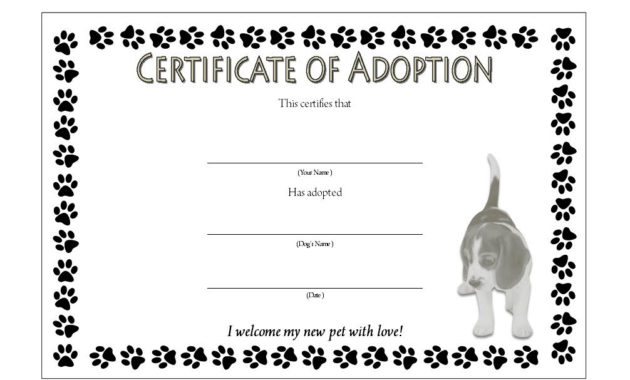 Puppy Adoption Certificate Templates For Kitten Birth Certificate Template