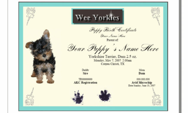 Puppy Birth Certificates Template Business In Free Puppy Birth Certificate Template