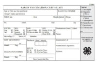 Rabies Vaccination Certificate Template Williamsonga Pertaining To Quality Rabies Vaccine Certificate Template