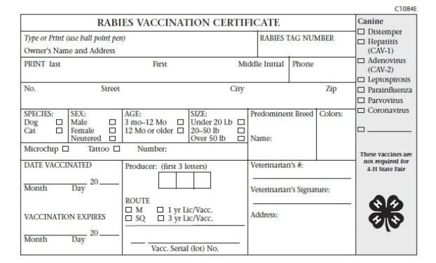 Rabies Vaccination Certificate Template Williamsonga Pertaining To Quality Rabies Vaccine Certificate Template