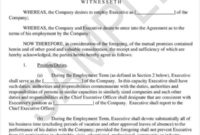 Real Estate Agent Business Plan Sample Pdf With Real Estate Agent Business Plan Template