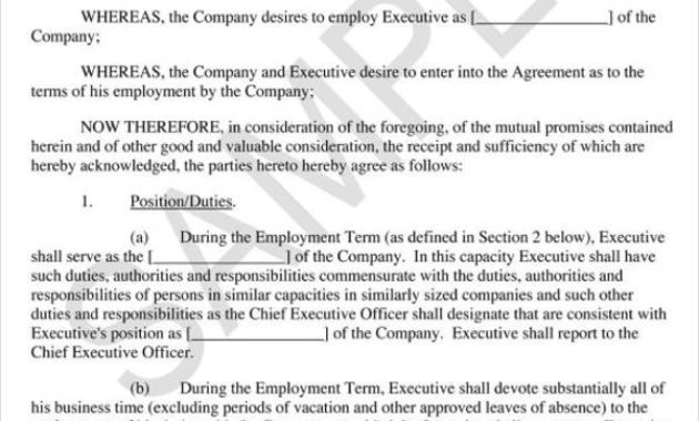 Real Estate Agent Business Plan Sample Pdf With Real Estate Agent Business Plan Template
