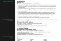 Report Analyst Resume Sample Kickresume Intended For Business Analyst Report Template