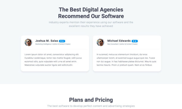 Seo Company Html Landing Page Template Designhooks With One Page Business Website Template
