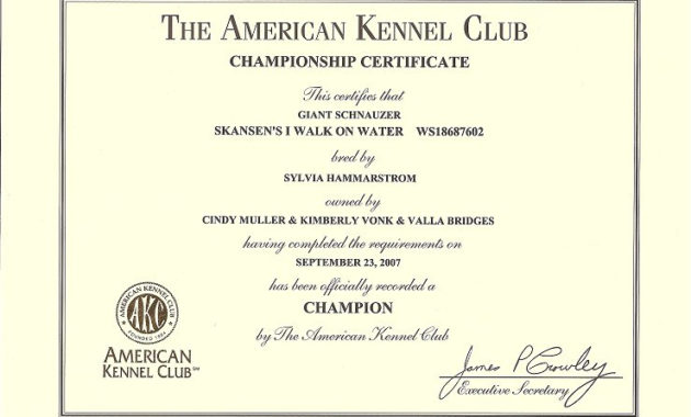 Service Dog Certificate Template Shatterlion Pertaining To Quality Dog Obedience Certificate Templates