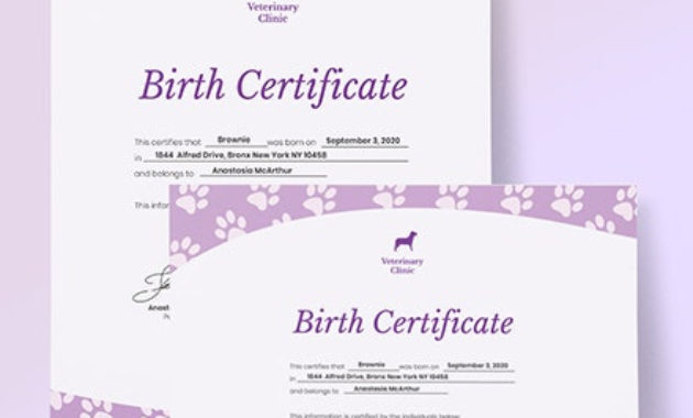 Simple Pet Birth Certificate Template Word Doc Psd Inside Printable Pet Birth Certificate Templates Fillable