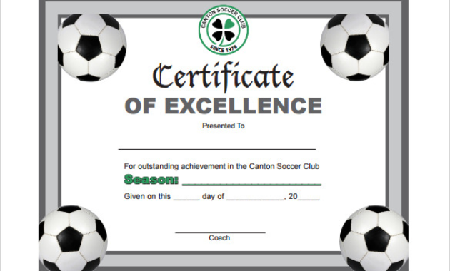 Soccer Certificate Templates For Word Hand Plane Within Soccer Award Certificate Templates Free