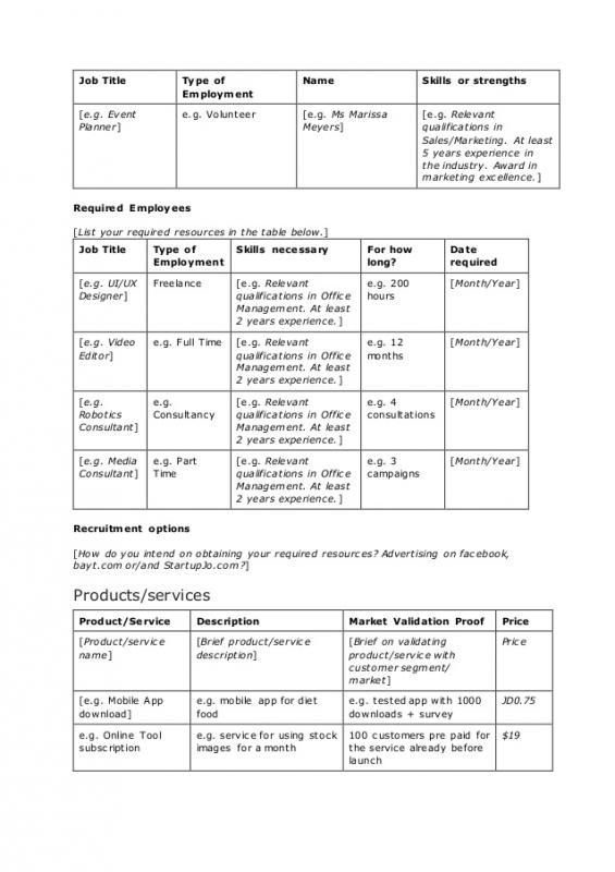 Social Media Marketing Plan Sample Template Business In Social Media Marketing Business Plan Template