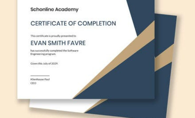 Software Engineering Certificate Template Word Throughout Robotics Certificate Template