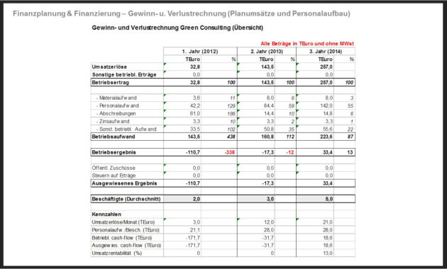 Startup Business Plan Financial Template Williamsonga For Financial Plan Template For Startup Business