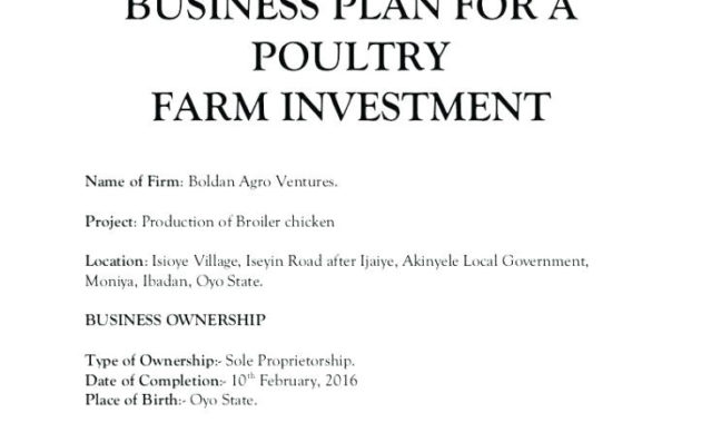 State Farm Business Plan Template Regarding Ranch Business Plan Template