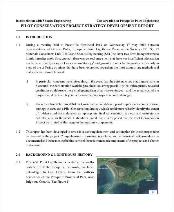 Strategy Report Template 10 Free Pdf Documents Download Intended For Strategic Business Review Template