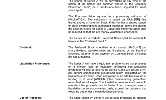 Term Sheet Template Businessinabox™ With Regard To Business In A Box Templates