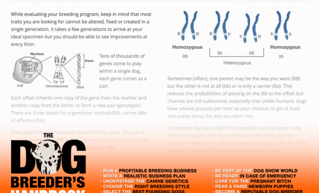 The Dog Breeder'S Handbook — The Definitive Guide Pertaining To Dog Breeding Business Plan Template