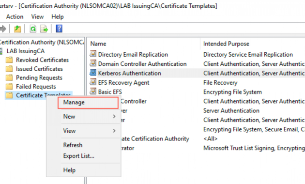 The Lab Certificates Damen Online With Quality Domain Controller Certificate Template