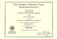 This Printable Certificate Of Dog Training Or Achievement Intended For Free Dog Obedience Certificate Template
