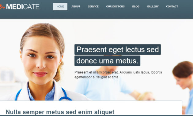 Top 20 Acupuncture WordPress Templates Best 20 WordPress Regarding Acupuncture Business Plan Template