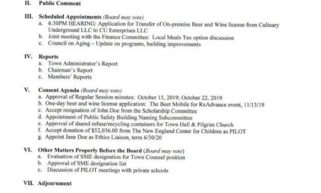 Town Hall Meeting Agenda Template In It Steering Committee Agenda Template
