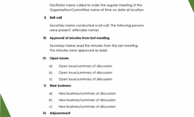 Triangles Agenda In Virtual Meeting Agenda Template