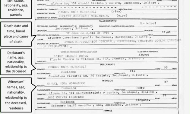 Unparalleled Best S Of Mexican Birth Certificate In For Awesome Birth Certificate Translation Template English To Spanish