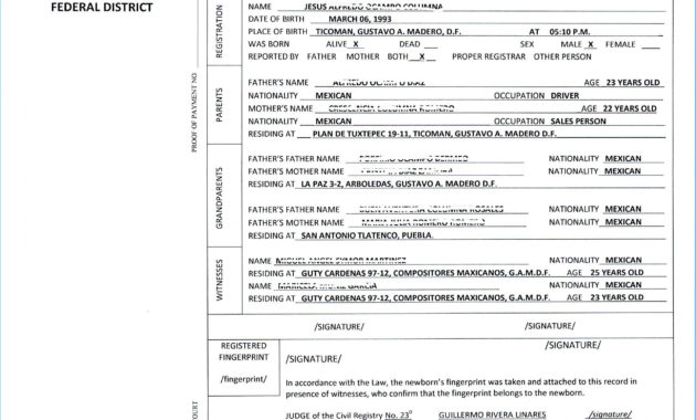 Uscis Birth Certificate Translation Template Cumed For Mexican Birth Certificate Translation Template