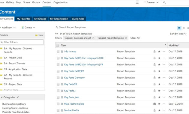 Use Business Analyst Infographics In Your Custom Applications Intended For Business Analyst Report Template
